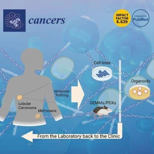 Cover of Cancers Magazine featuring Atlas of Lobular Breast Cancer Models article