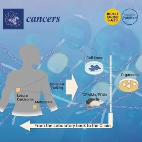 Cover of Cancers Magazine featuring Atlas of Lobular Breast Cancer Models article