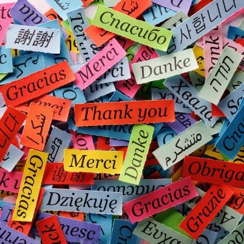 Thank you written on papers in different languages