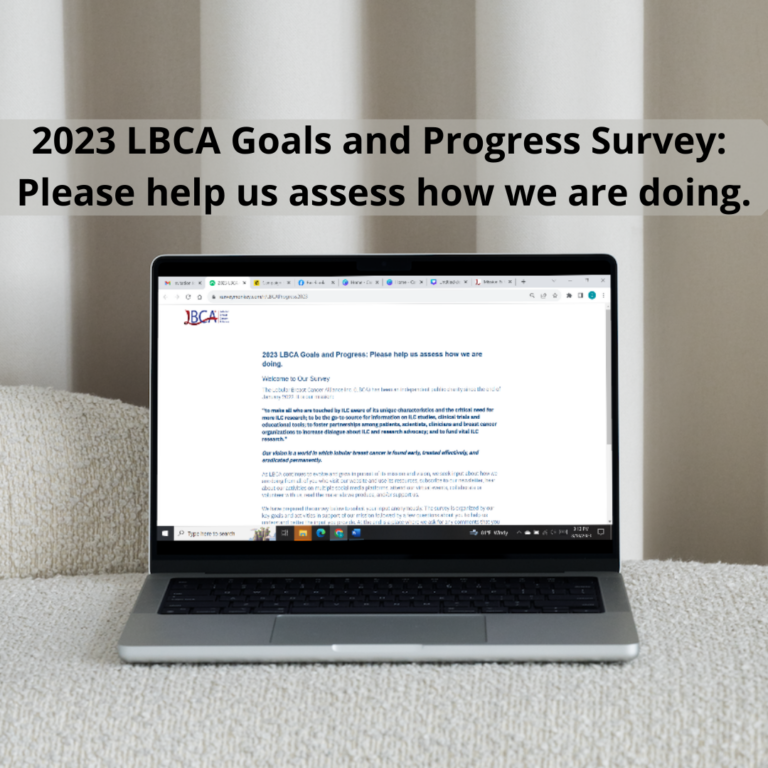 LBCA Survey in computer screen