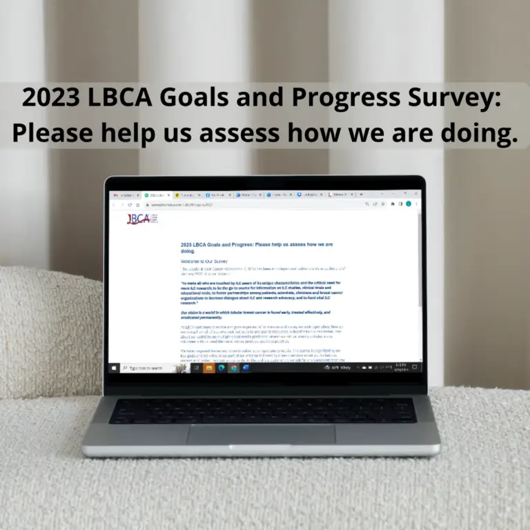 LBCA Survey in computer screen