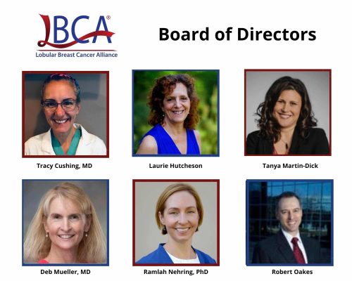 Headshots of all members of LBCA Board of Directors