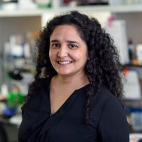 Scientific Advisor Dr. Fresia Pareja
